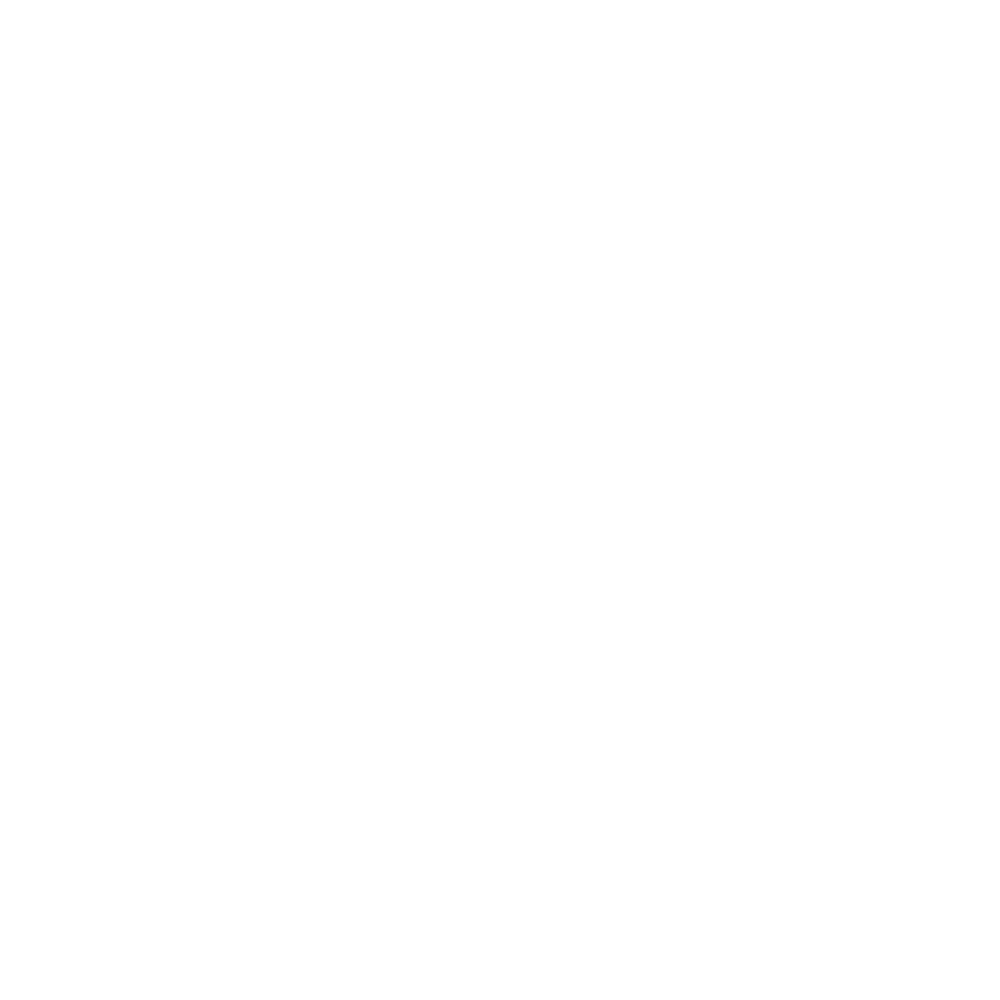 AI CV Description
